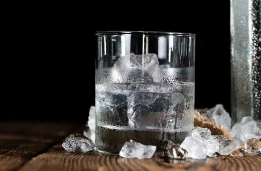 Los 17 mejores sustitutos del ron de coco