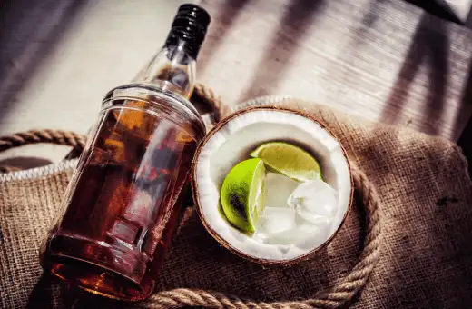 Los 17 mejores sustitutos del ron de coco