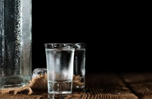 Los 17 mejores sustitutos del ron de coco