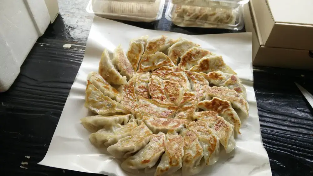 Cómo recalentar Gyoza – Fanatically Food