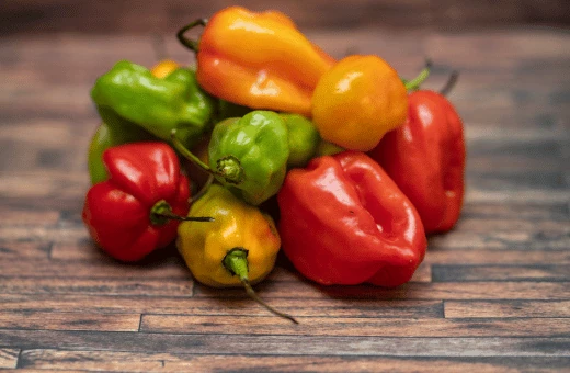 Más de 17 sustitutos rápidos de Chile de árbol | Proporción y modo de uso 2023