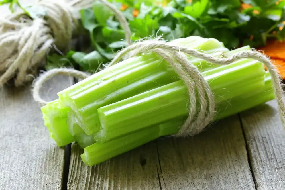 ¿Puedes enfermarte por comer apio viejo? Respuesta explicada