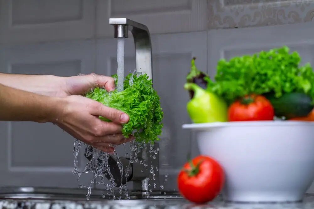 ¿Cuánto dura la lechuga sin refrigerar?