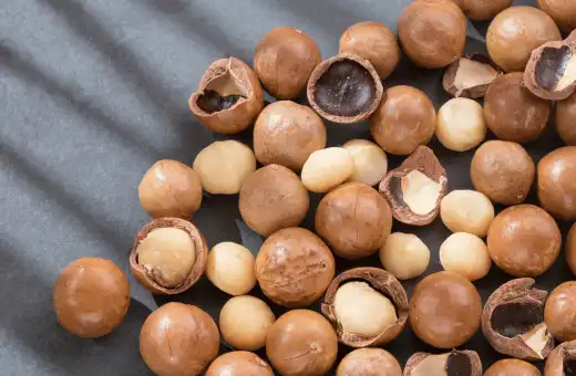 Más de 9 sustitutos rápidos de las nueces
