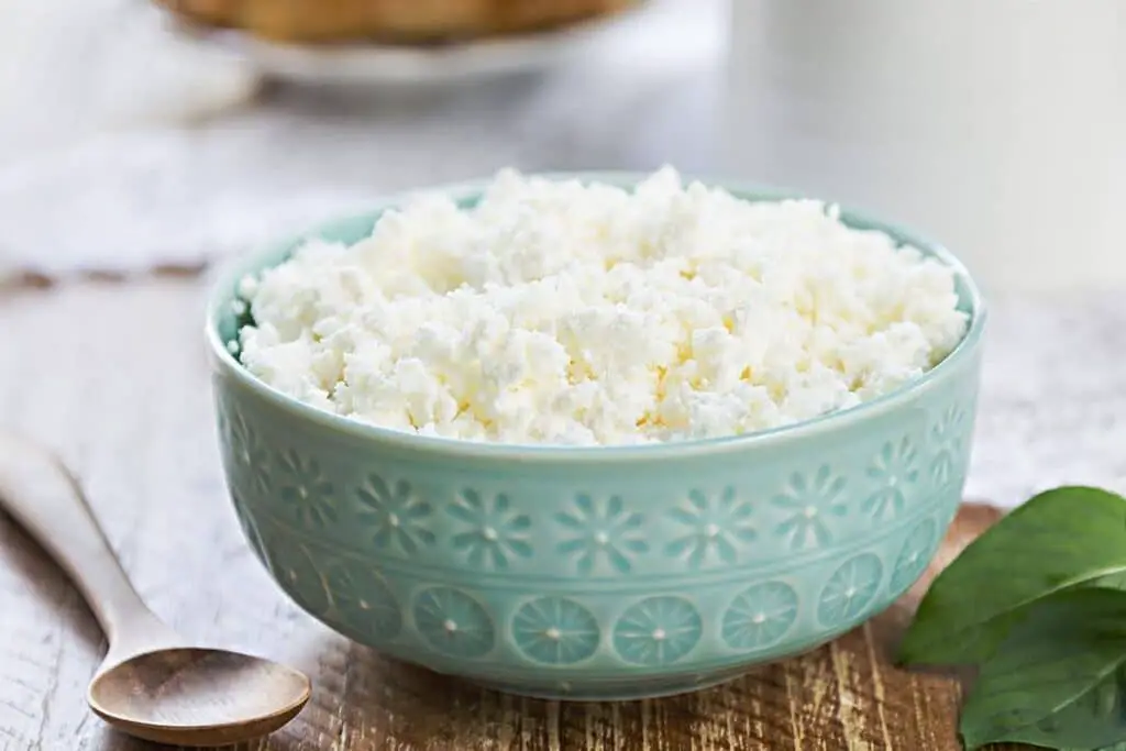 5 ideas para el mejor sustituto del queso burrata
