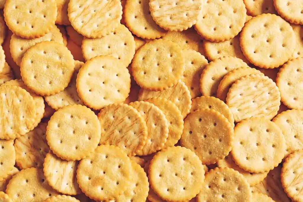 12 mejores opciones para el sustituto de Panko