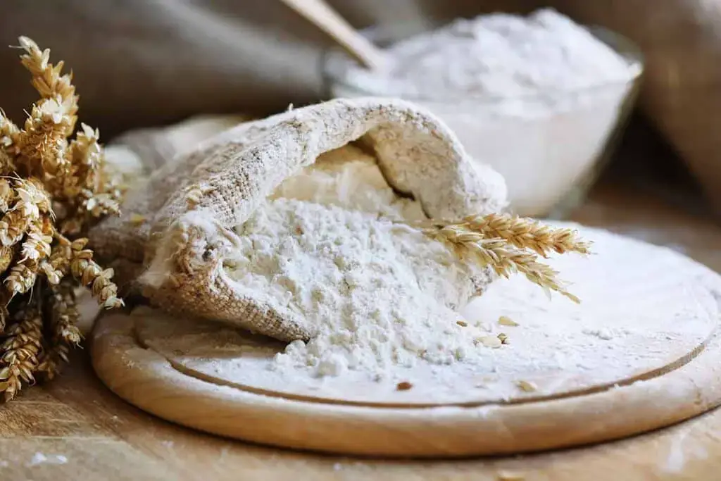 12 mejores opciones para el sustituto de Panko