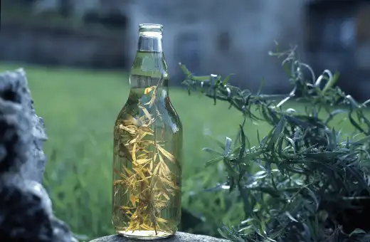 13 sustitutos del vinagre de Jerez