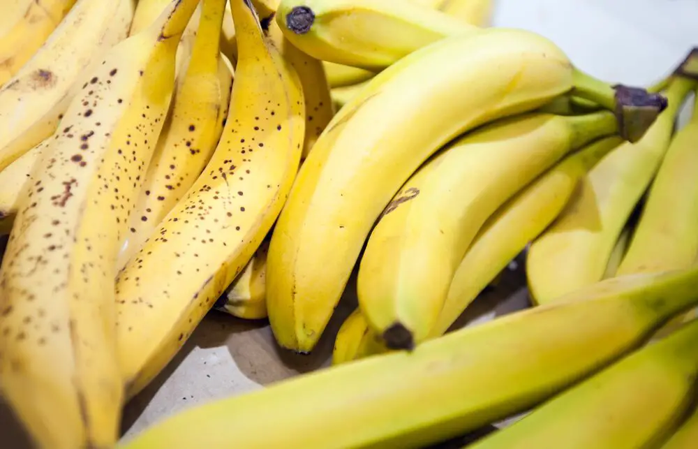 Bananas Orgánicas vs Bananas Regulares: ¿Cuál es la Diferencia?