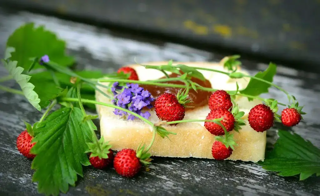 ¿Las fresas silvestres son seguras para comer o son venenosas?