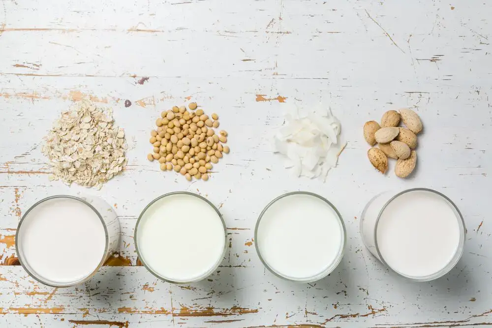 5 sustitutos de la leche desnatada