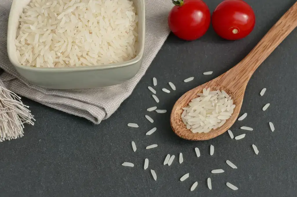 ¿Cuánta agua necesitas para 2 tazas de arroz? Guía fácil para cocinar arroz