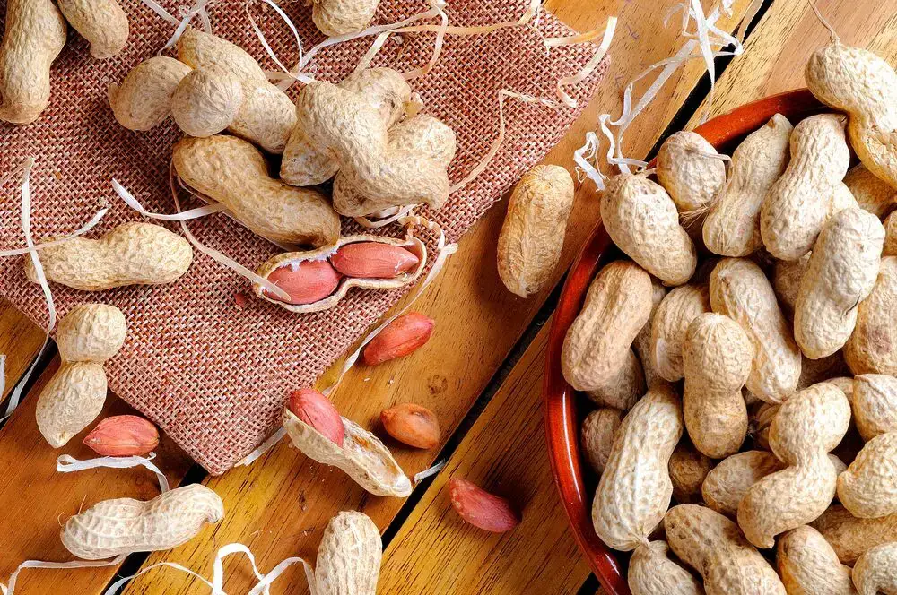 100 alimentos que comienzan con P