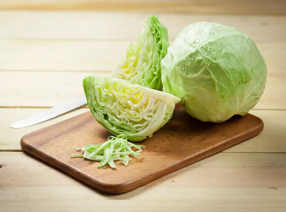 La diferencia entre lechuga y repollo