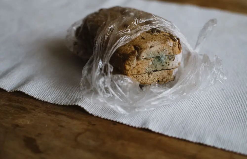 ¿Cómo se ve el moho en el pan?