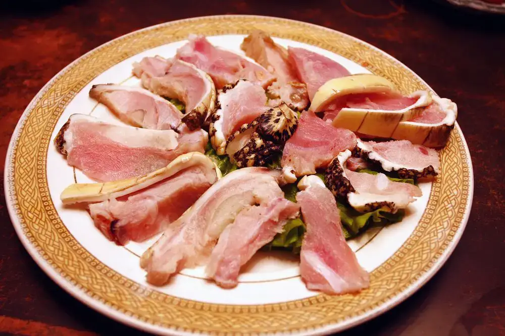 ¿La carne de caimán es saludable? – Comida fanática