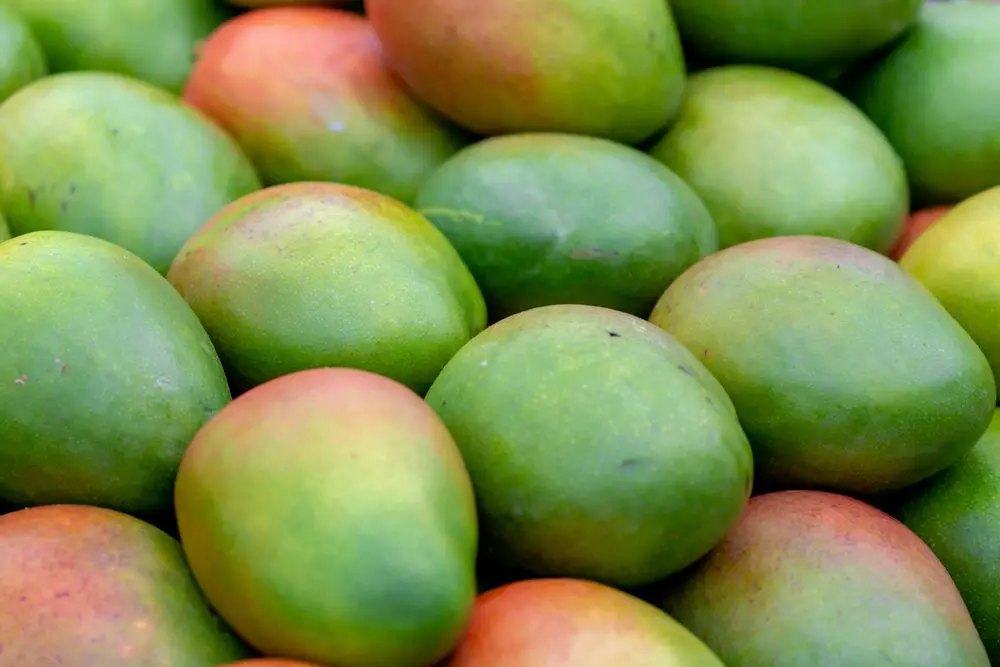 ¿A qué sabe el mango?