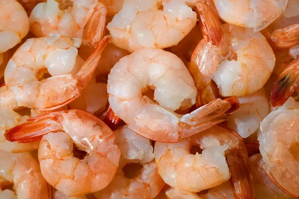 ¿Cómo saber si los camarones están cocidos?