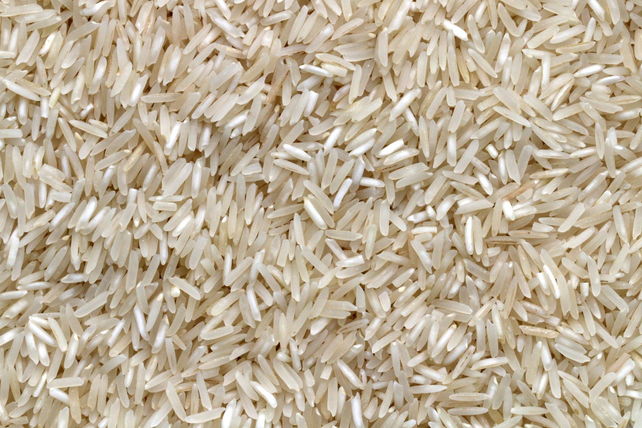 Arroz Basmati vs Arroz Jazmín