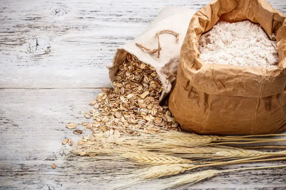 Harina de trigo integral vs harina de avena
