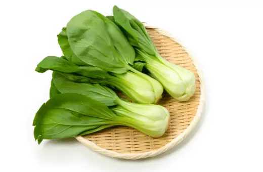 10 sustitutos nutritivos de espinacas para ensaladas, cocina y sopas