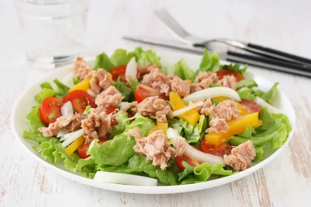 ¿Por cuánto tiempo es buena la ensalada de atún?
