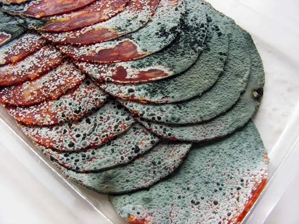 ¿Cuánto tiempo dura el salami sin curar?