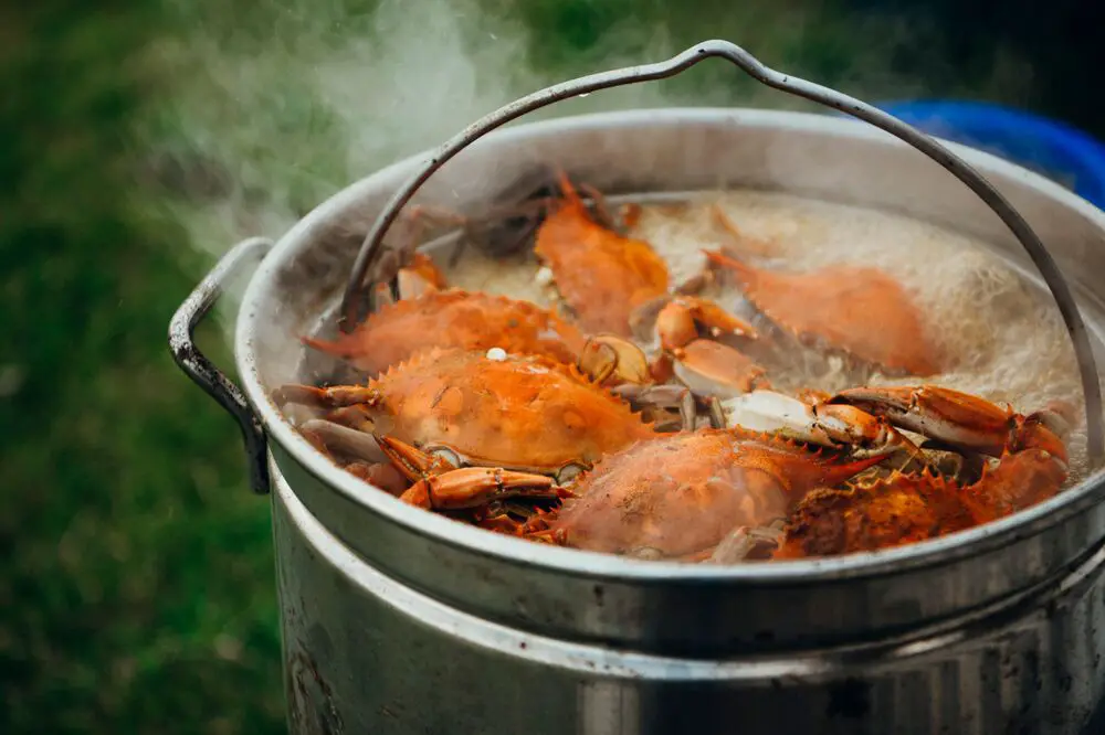 ¿Se puede congelar la carne de cangrejo?