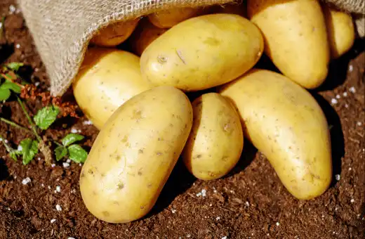 Más de 9 sustitutos rápidos del ñame