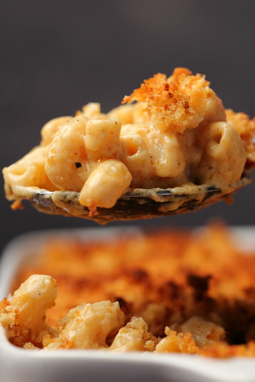 Una guía sobre el queso vegano |
