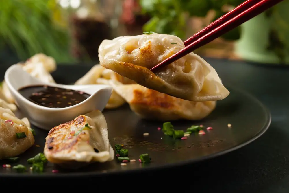 Cómo recalentar Gyoza – Fanatically Food