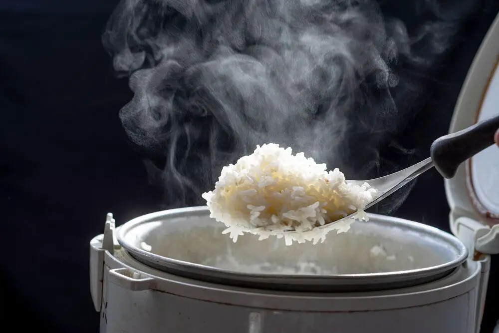 Cómo recalentar arroz en una olla arrocera
