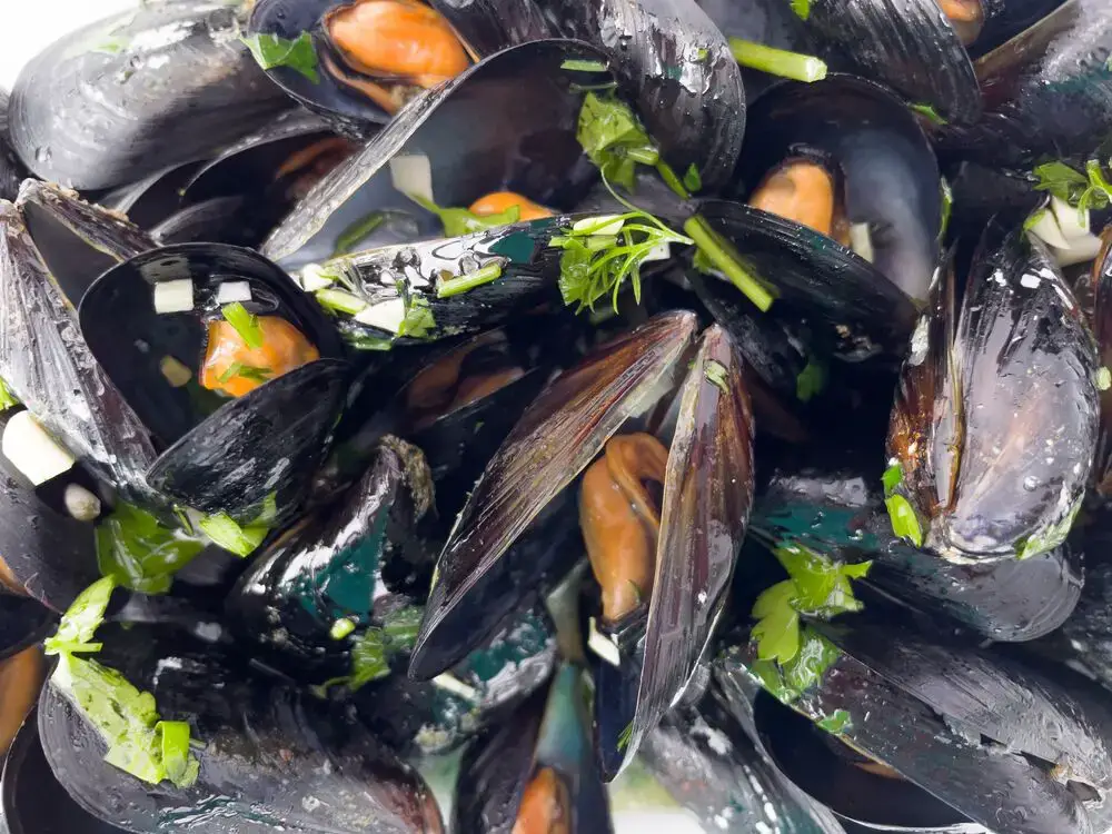 Cómo recalentar mejillones con cáscara