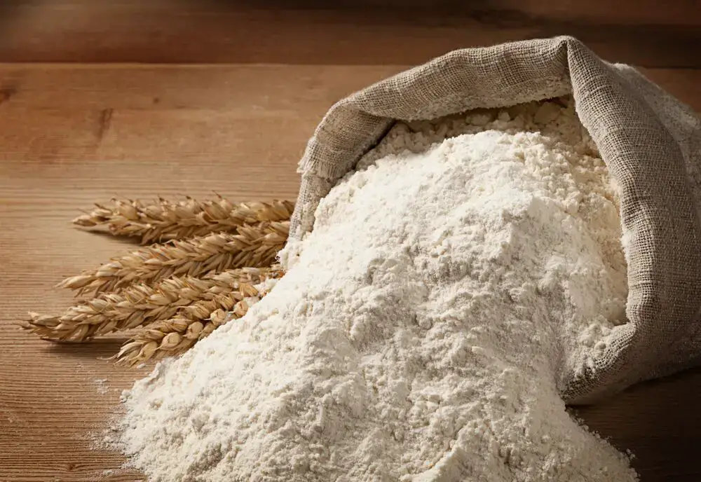 Harina de trigo integral vs harina de avena