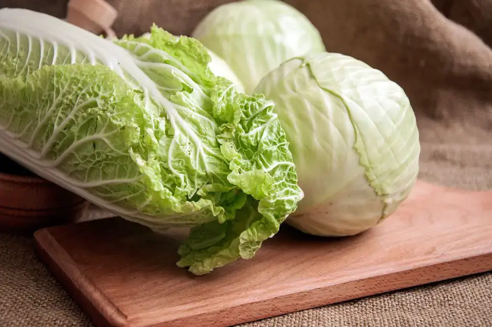 La diferencia entre lechuga y repollo