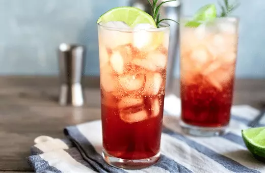 Los 14 mejores sustitutos de la ginebra del mundo