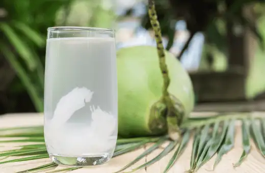 Los 17 mejores sustitutos del ron de coco