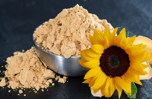 Los 7 mejores sustitutos de la lecitina de soya y la forma de usarlos