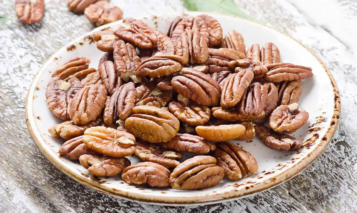 Pecan vs. Nogal: la comparación definitiva