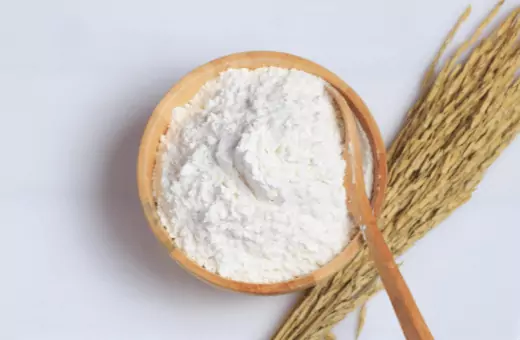 Sustituto de harina de avena/6 alternativas sin gluten a la harina de avena