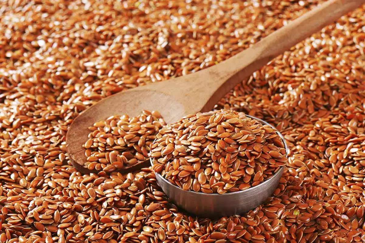 Sustituto de linaza: 8 ingredientes que debes probar
