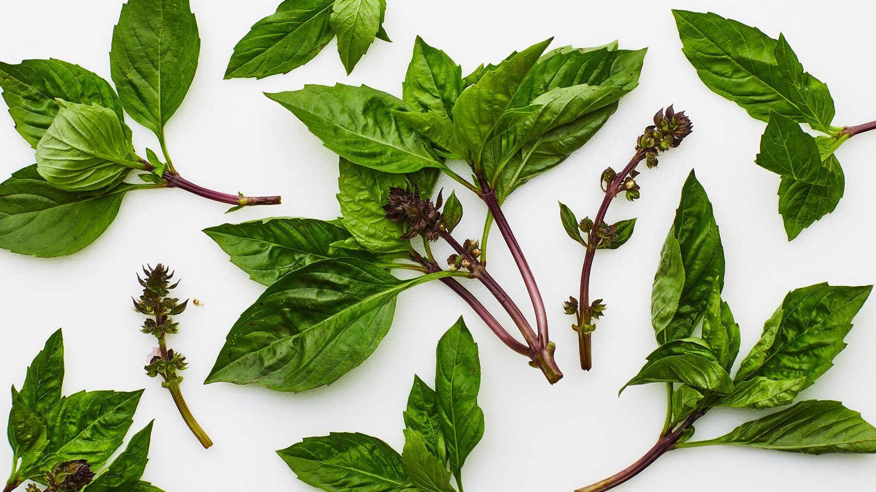 ¿Qué es la albahaca tailandesa, la hierba picante con sabor a anís que es vital...