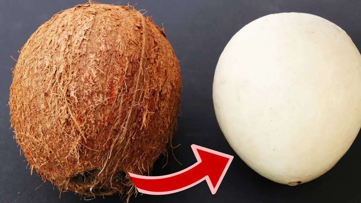 Cómo quitar la pulpa de COCO de la cáscara, 2 formas diferentes