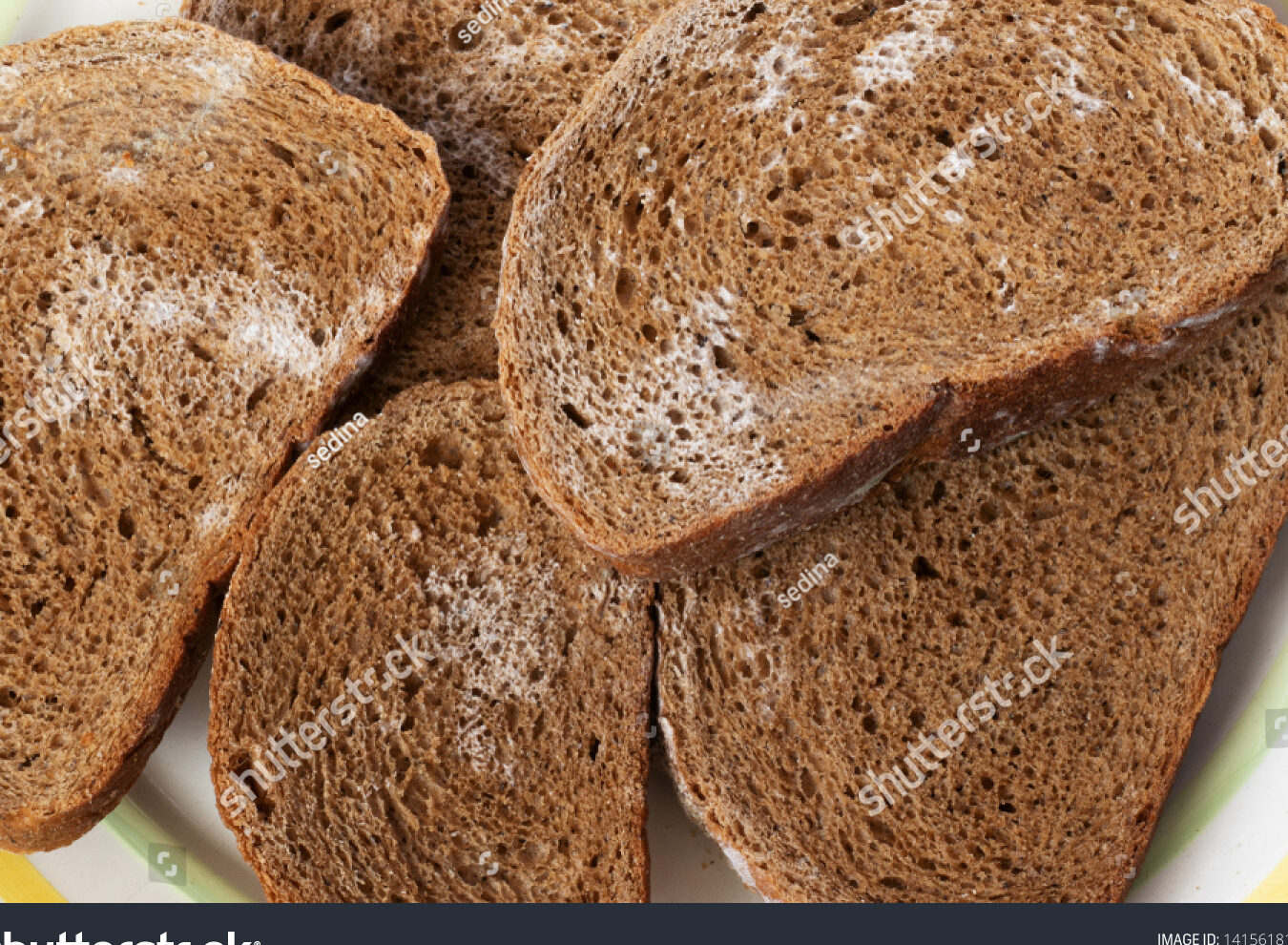 Pan de centeno en rodajas cubierto con molde colocado​: Foto de stock 1415618102 ...