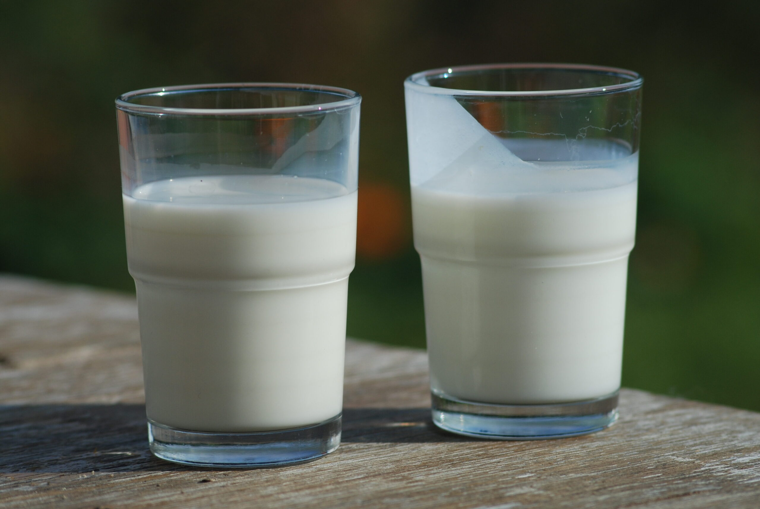 Suero de leche - Wikipedia