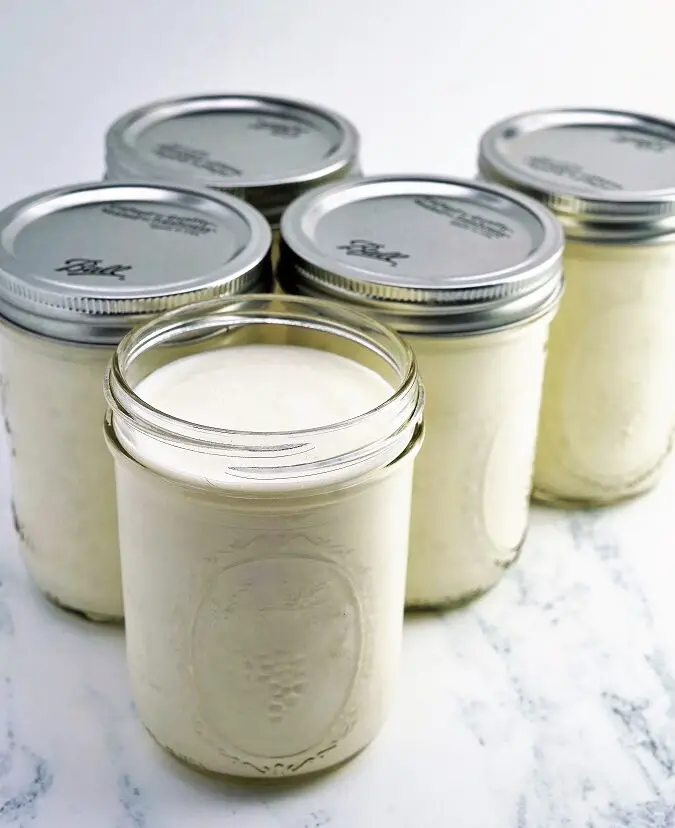 Yogur casero en una olla instantánea |