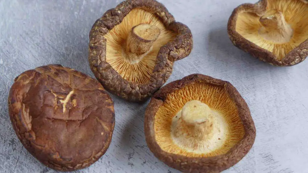 Hongos shiitake, una guía completa - Red House Spice