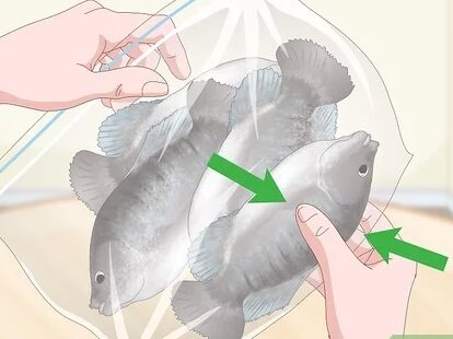 ¿Cuánto tiempo dura el pescado crudo en el frigorífico después de descongelarlo?