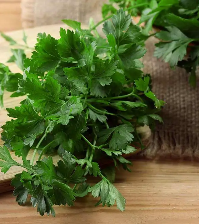 El cilantro es asqueroso y necesita desaparecer para siempre |