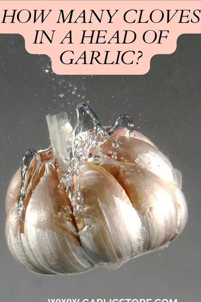 ¿Cuántos dientes hay en una cabeza de ajo?